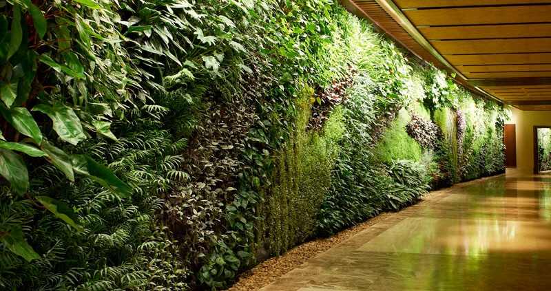 دیوار سبز چیست و چه انواعی دارد؟ این نوآوری چه نقشی در ایجاد فضای سبز هوشمند دارد؟