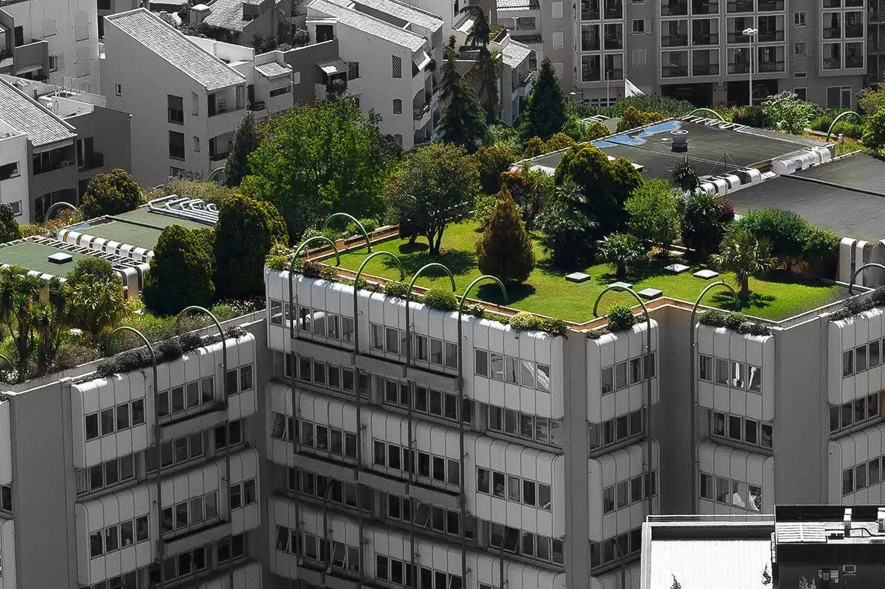 تصویری از بام سبز را نشان می دهد که در پشت بام هتل فضای سبز پیاده سازی شده است.