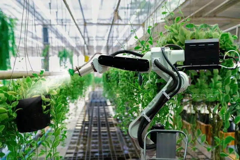 تصاویری از یک ربات در حال کار در یک گلخانه پر از گیاهان سبز که این کار در راستای هوشمندسازی گلخانه انجام شده است.