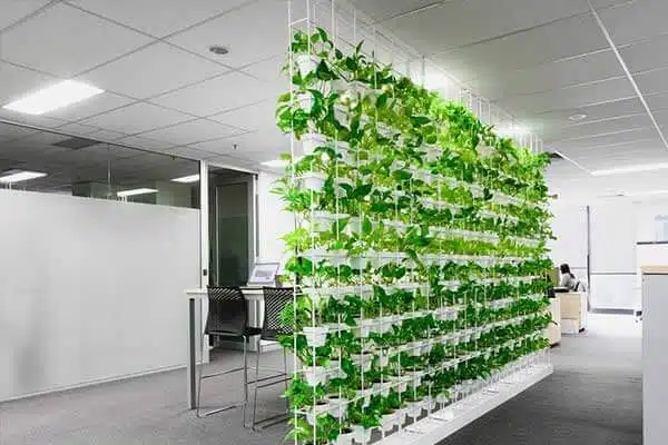 تصویری از دیوار سبز مدولار است که رنگ دیوار سفید است و درون ساختمان قرار دارد.