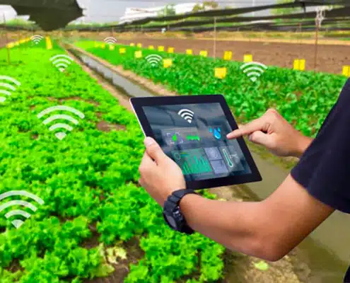تصویری از سیستم آبیاری هوشمند در زمین کشاورزی را نشان می دهد که کاربر با تبلت هوشمند در حال کنترل این سیستم می باشد.