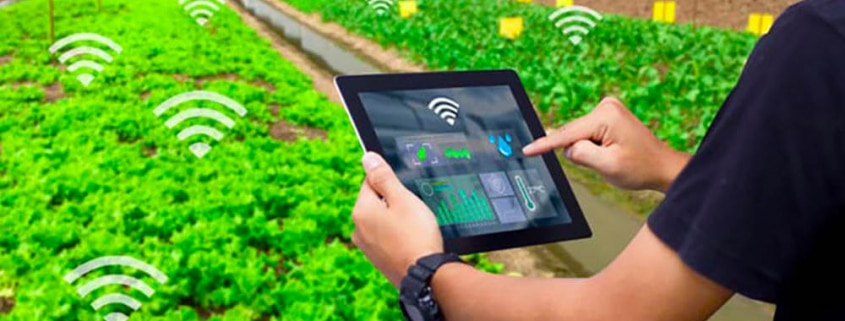 تصویری از سیستم آبیاری هوشمند در زمین کشاورزی را نشان می دهد که کاربر با تبلت هوشمند در حال کنترل این سیستم می باشد.