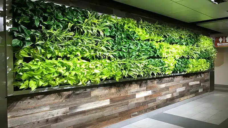 تصویری از یک دیوار سبز در یک ساختمان است.