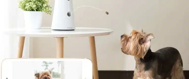 تصویری از خانه هوشمند برای نگهداری از حیوان خانگی را نشان می دهد، عکس حیوان بر روی تلفن همراه قابل مشاهده است.